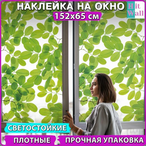 Пленка на окно витражная листья зеленые