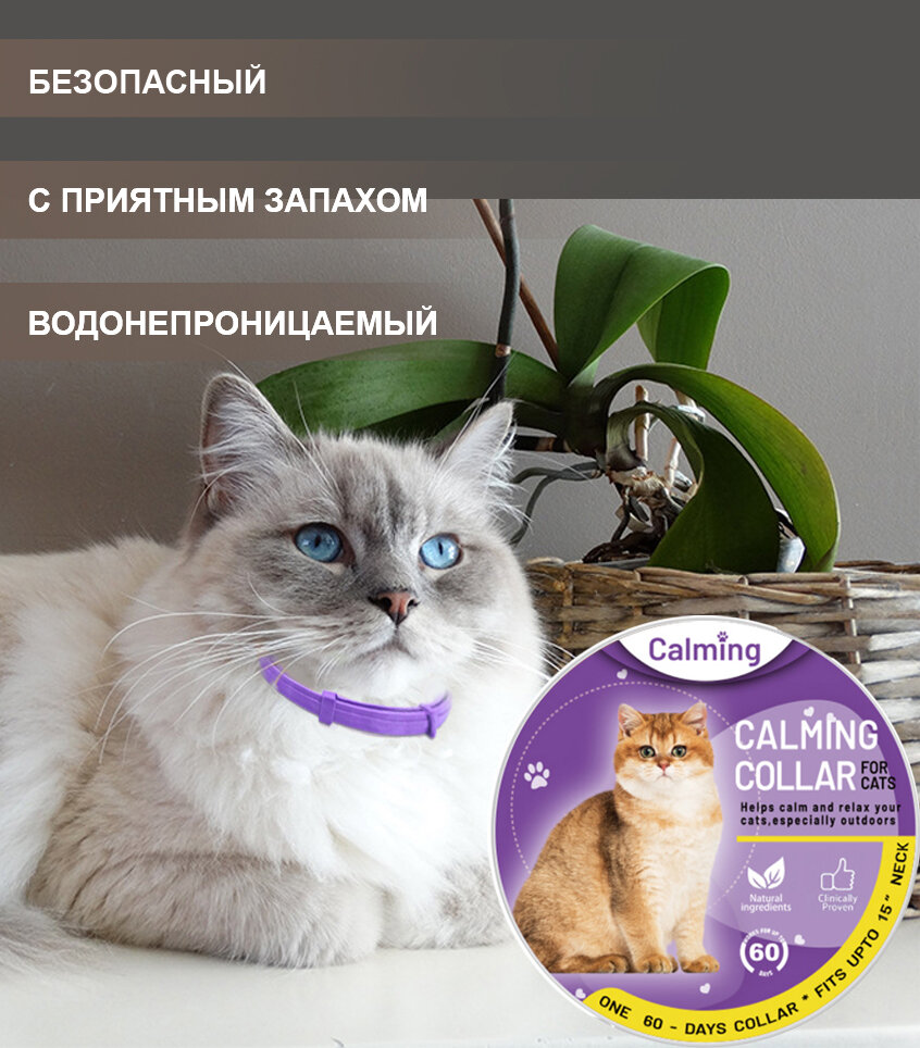 Ошейник для кошек Calming Collar успокаивающий с феромонами, фиолетовый цвет - фотография № 2