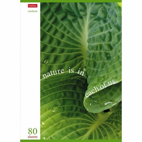 Тетрадь А4, 80 листов, клетка, "Природа в каждом из нас", обложка мелованный картон, блок 60 г/м2, 3В микс