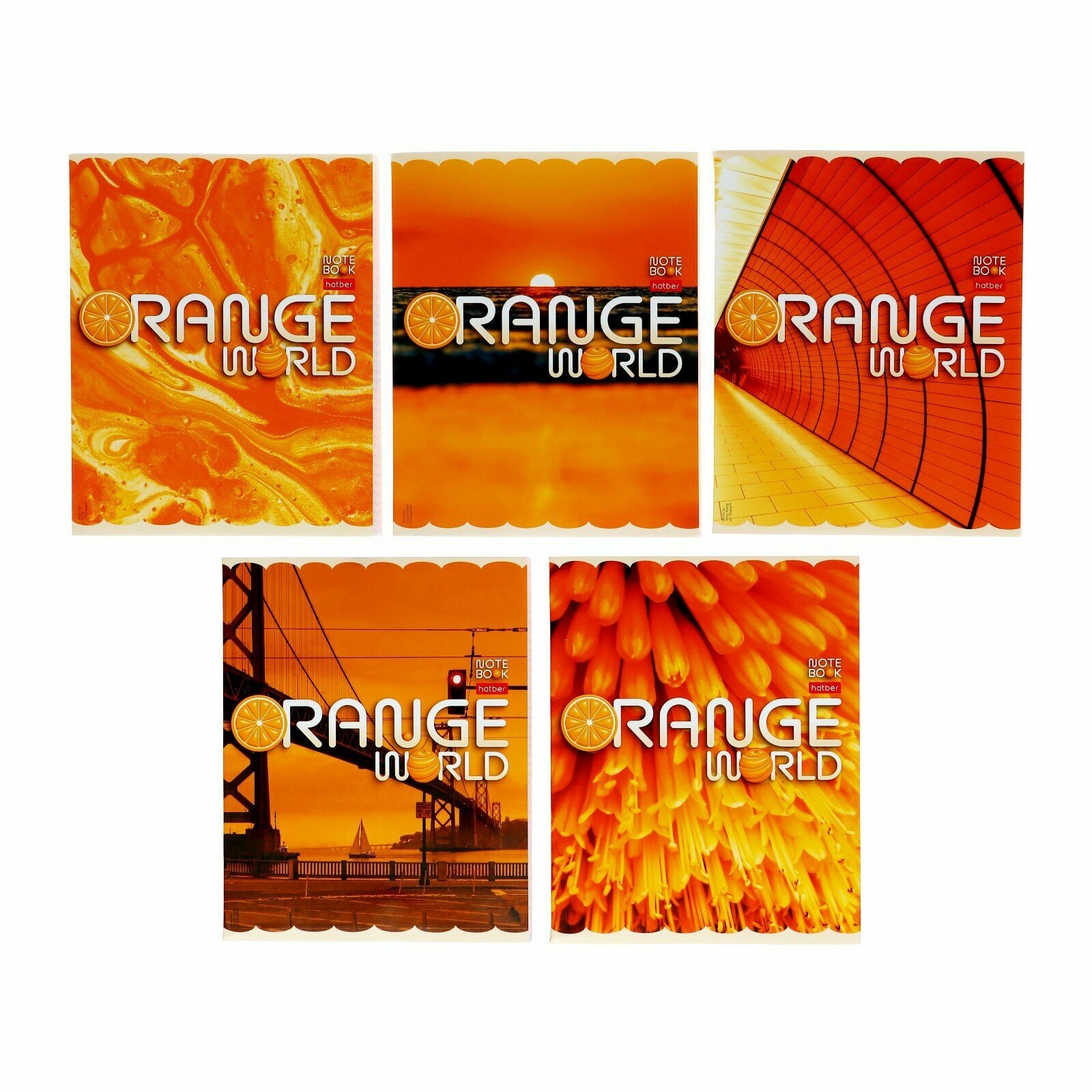 Тетрадь 96 листов в клетку "Оранжевый мир!", обложка мелованный картон, блок 65г/м2, микс