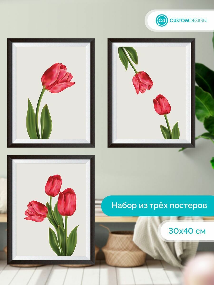 Комплект постеров без рамы из 3-х штук 30х40 см Тюльпаны