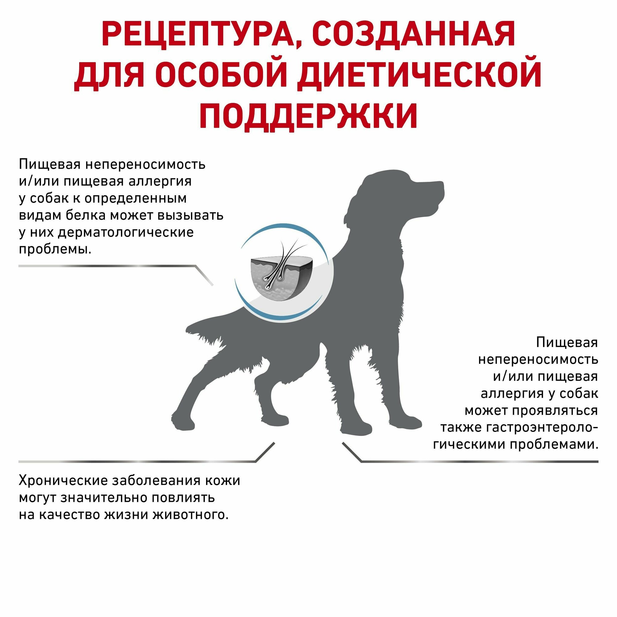 Корм для взрослых собак при пищевой аллергии Royal Canin Sensitivity Control SC 21 Canine (Сенситивити Контрол) сухой диетический, 1,5 кг - фотография № 19