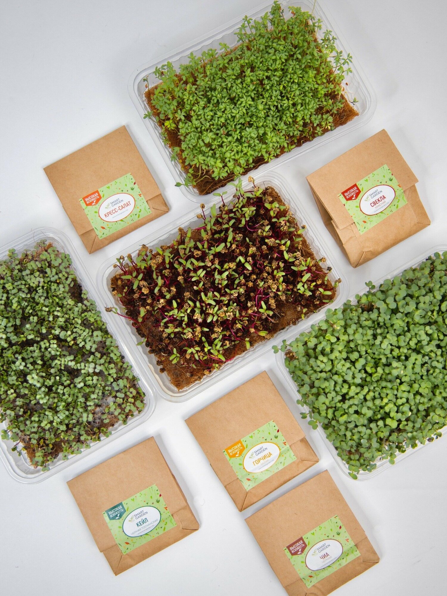 Набор для выращивания микрозелени 10 урожаев, микрозелень Smart Garden - фотография № 2