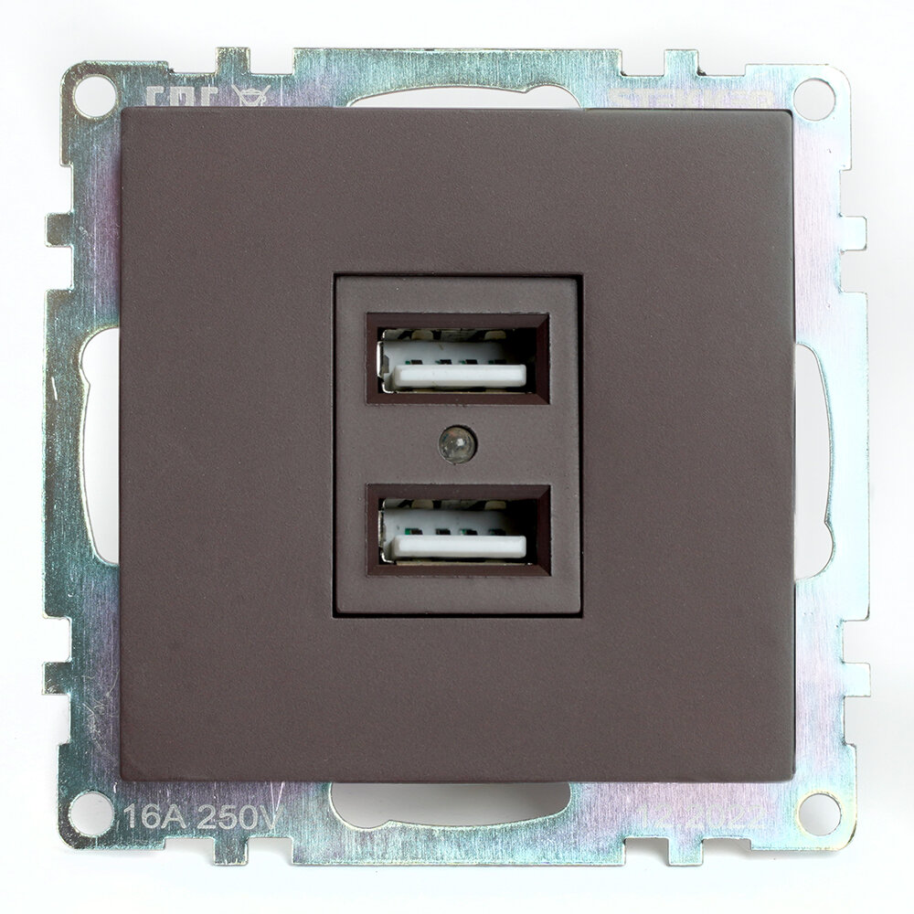 2-местная USB розетка STEKKER - фото №1