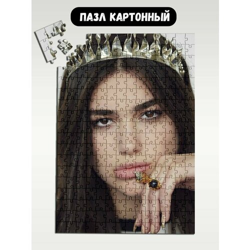 Пазл картонный 39,5х28 см, размер А3, 300 деталей, модель музыка Dua Lipa - 1607 пазл картонный 39 5х28 см размер а3 200 деталей модель музыка dua lipa 1607