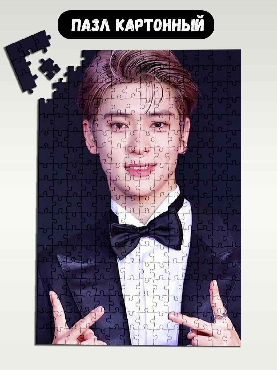 Пазл картонный А3: модель музыка NCT - 1730