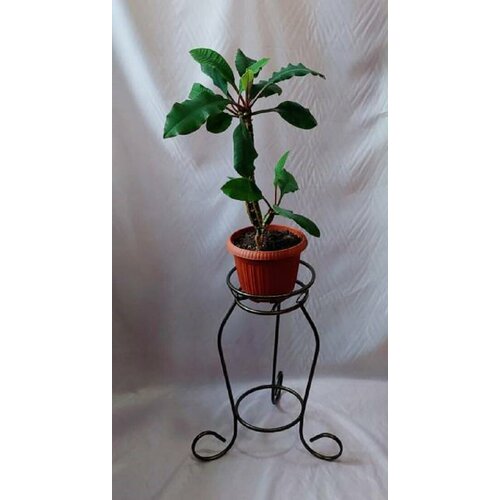 Подставка для цветов на 1 горшок 