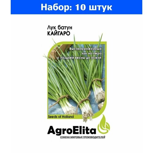 Лук батун Кайгаро 0,2г Ср (АгроЭлита) Голландия Энза Заден - 10 пачек семян