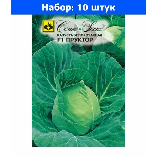 Капуста б/к Пруктор F1 0.1г Ср (Семко) - 10 пачек семян