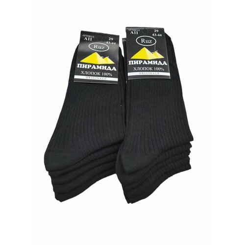 Мужские носки Пирамида, 10 пар, классические, быстросохнущие, размер 25, черный