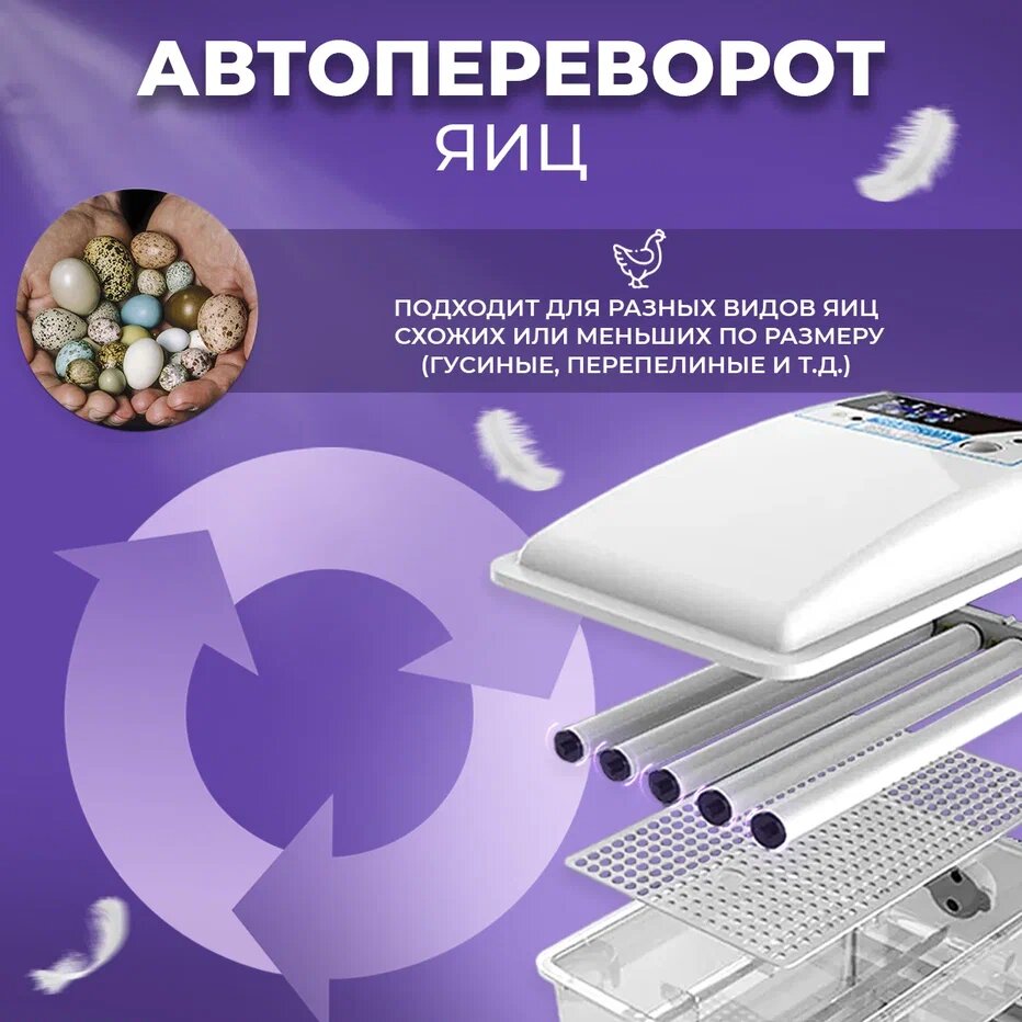 Инкубатор для яиц Mengke NLF-24 автоматический на 24 яйца — фото 1
