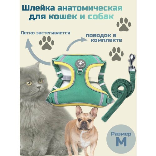 Анатомическая шлейка для собак мелких пород и кошек с поводком
