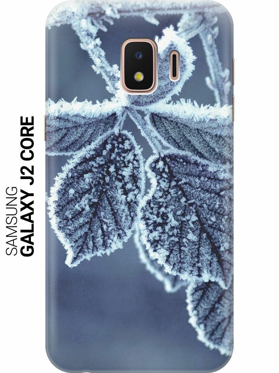 Силиконовый чехол на Samsung Galaxy J2 Core / Самсунг Джей 2 Кор с принтом "Замерзшие листочки"