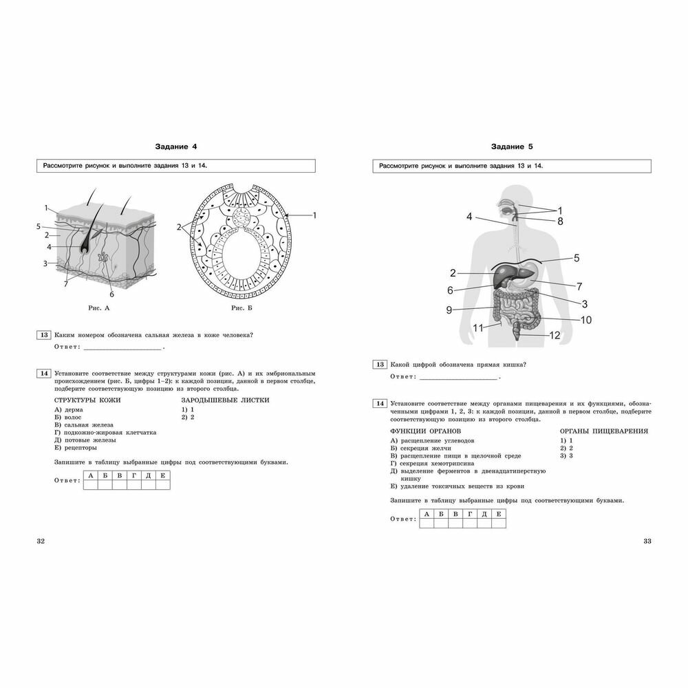 ЕГЭ-2024. Биология. Тематические тренировочные задания - фото №14