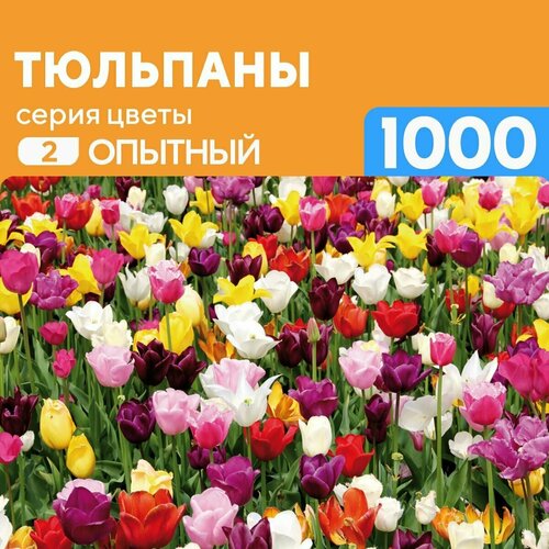 Деревянный пазл Тюльпаны 1000 деталей Опытный