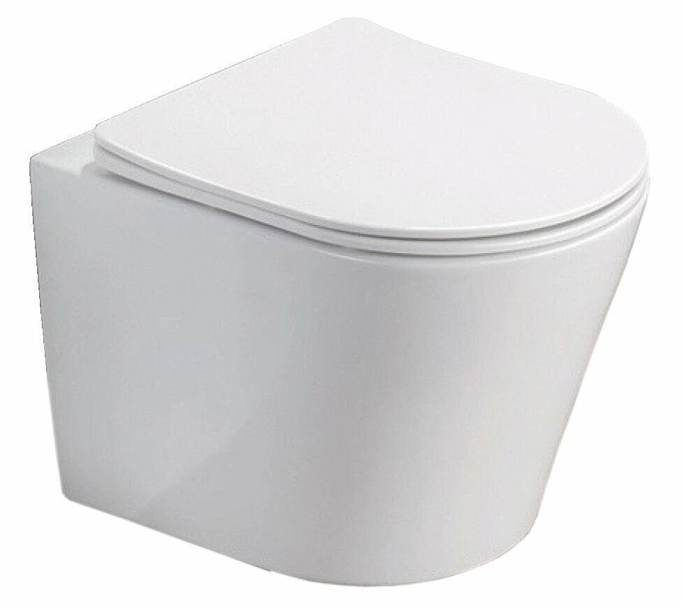 фото Унитаз подвесной Azario Atrio безободковый смыв сид. дюропласт микролифт AZ-2330