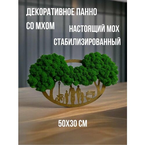 Панно с растениями настоящими из мха на стену для декора