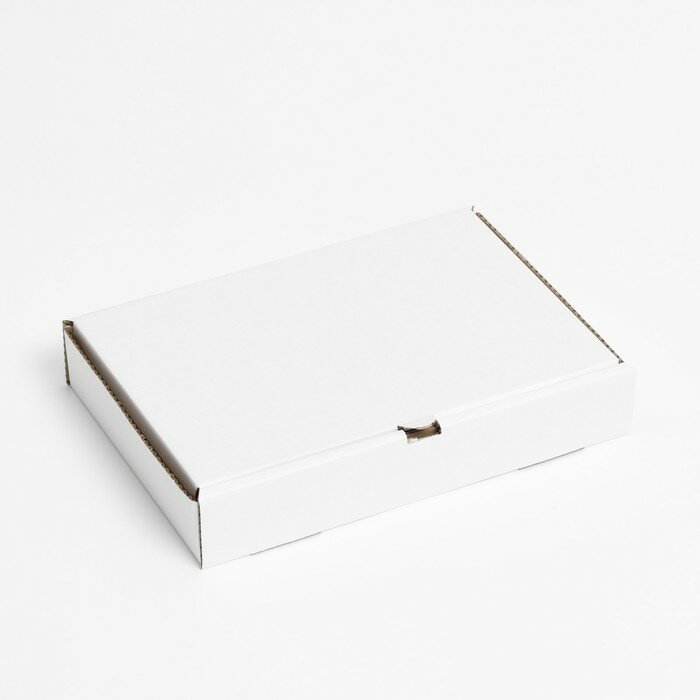 Коробка для пиццы, белая, 30 х 20 х 5 см (10шт.)