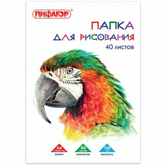 Папка для рисования Пифагор  А4 40 л 120 г/м2  210х297 мм 