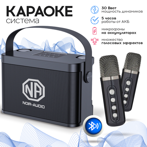 Караоке система NOIR-audio K-5 с двумя беспроводными микрофонами с функцией Bluetooth и USB разъемом 6366₽
