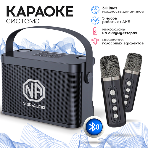 Караоке система NOIR-audio K-5 с двумя беспроводными микрофонами, с функцией Bluetooth и USB разъемом караоке система noir audio k 2 с двумя микрофонами и функцией bluetooth