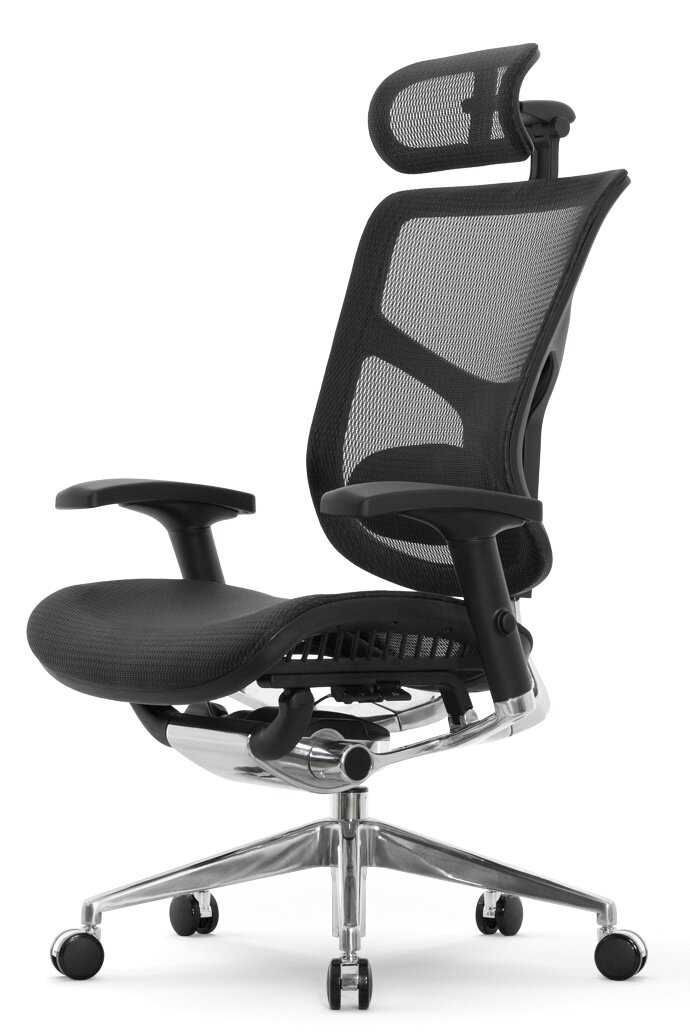 Эргономичное кресло Falto Expert Star Ergo, цвет: черный