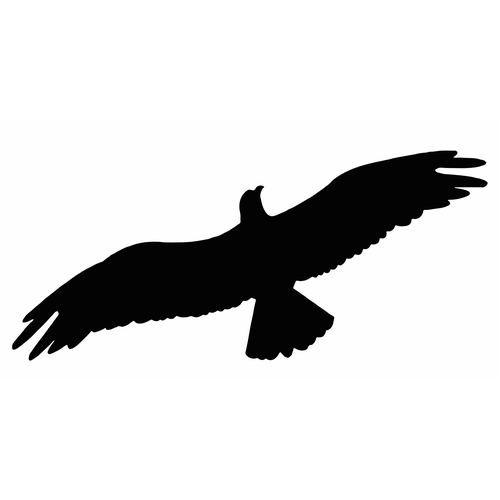 Наклейки-стикеры: силуэты хищных птиц (42 x 30) см - V11 Комплект 50 штук