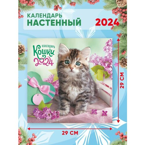 Большой настенный календарь 2024 г. Кошки 29х29см