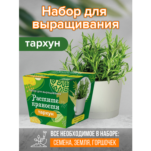 Коллекция наборов для выращивания Растите пряности Тархун 470₽