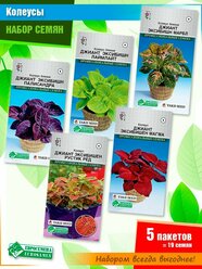 Набор семян комнатных цветов "Колеусы" от компании Евросемена (5 пачек)
