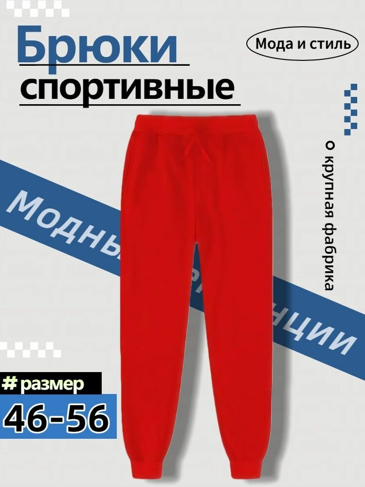 Брюки Базовая коллекция