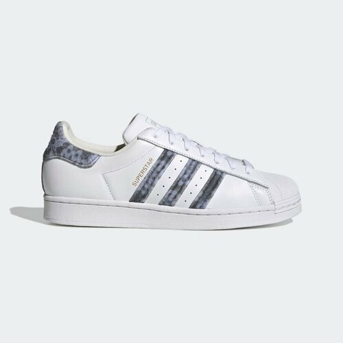 Кроссовки adidas Superstar, размер 11 UK, белый, серый