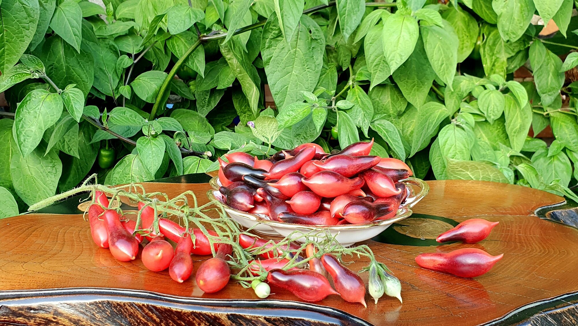 Семена Томата кумкват розовый опал (Kumquat Pink Opal) / Seeds And Goods / в пакетике zip-lock без полиграфии 10 семян