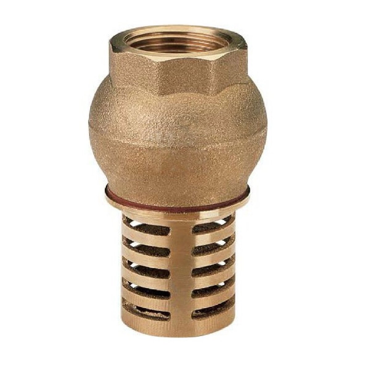 Клапан обратный донный 1" TDM 334