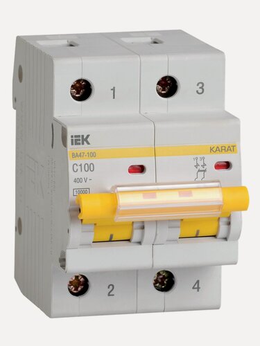 Изображение товара Автоматический выключатель IEK ВА47-100 2Р C, 100А, 10кА, 400В, IP20, термомагнитный, на DIN-рейку