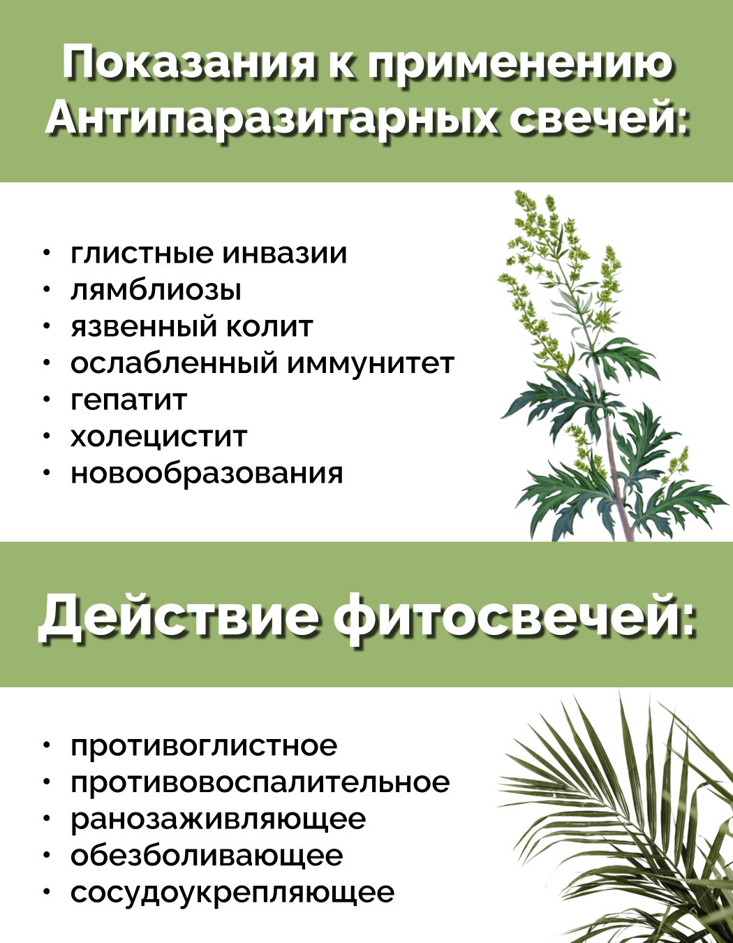 Картинки Свечи Антипаразитарные с экстрактом полыни, 2 уп. по 10 шт, блистер, Материа Био Профи Центр