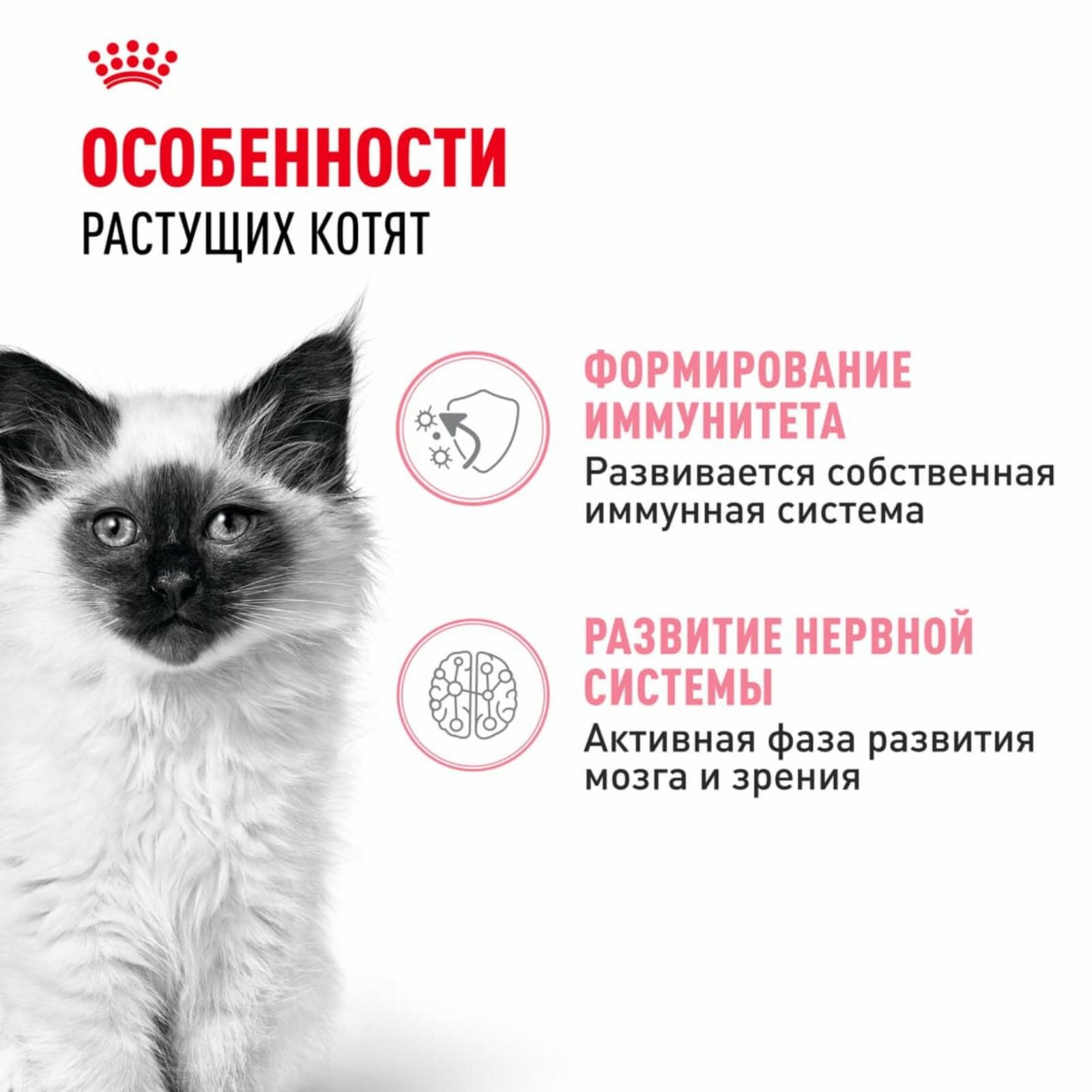 Royal Canin паучи RC Кусочки в соусе для котят 4-12 мес. (Kitten) 40580008R040580008R1 0.085 кг 41712 (10 шт)