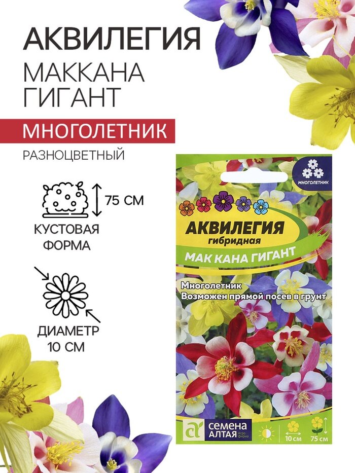 Семена Аквилегия 