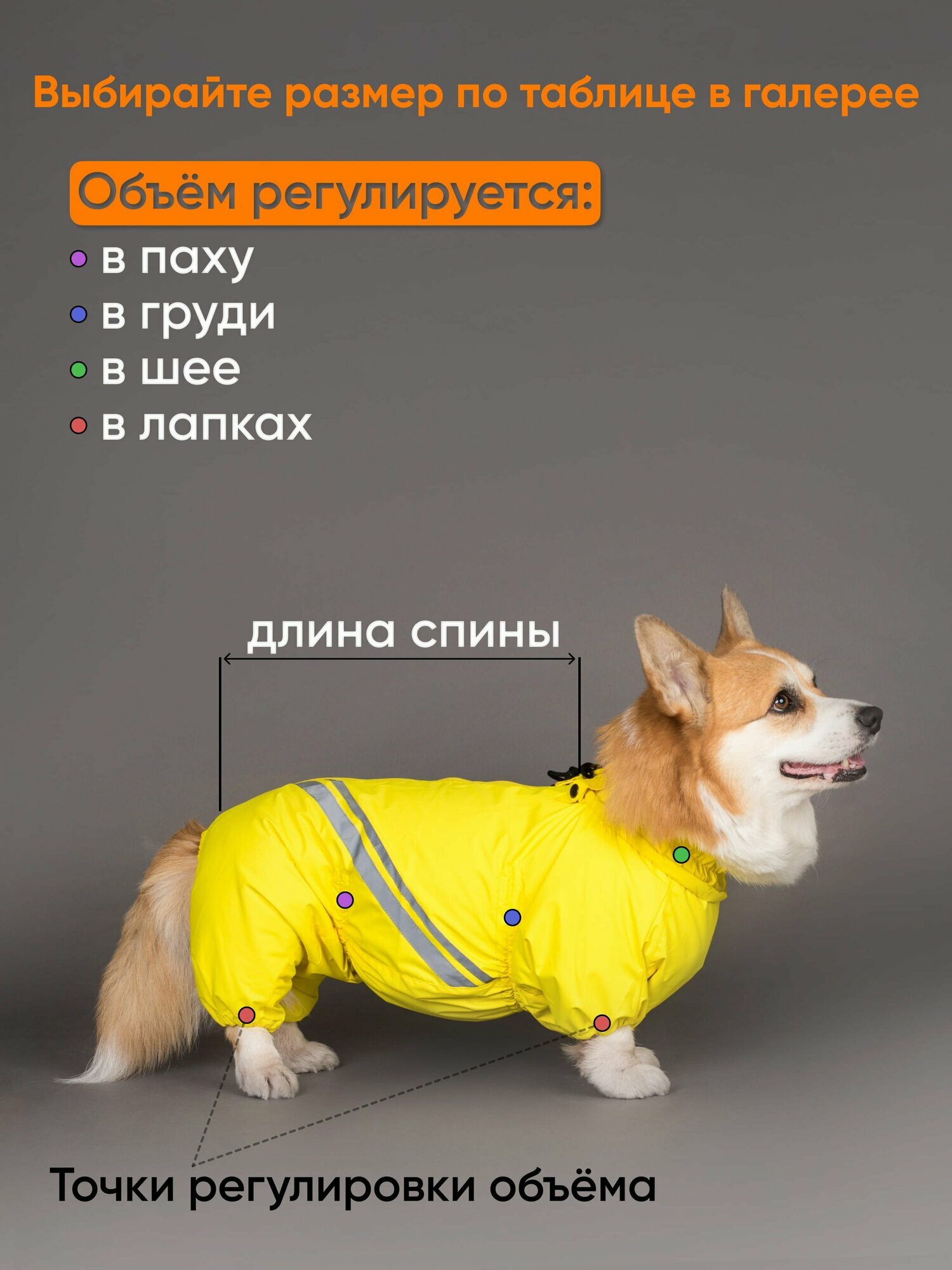 Грязезащитный комбинезон DiploDog для Корги (девочка), Одежда для Корги (девочка) — фото 1