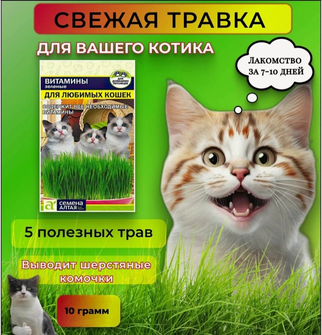 Семена зелёной травы для кошек 