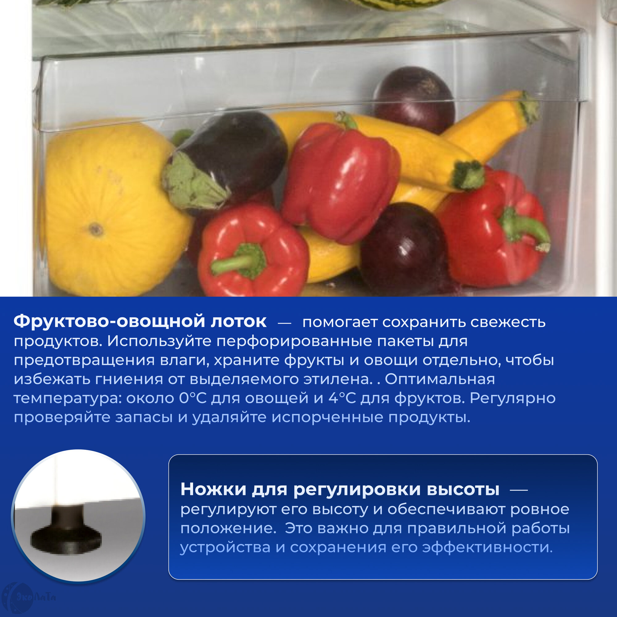 Двухкамерный холодильник Snaige - фото №5