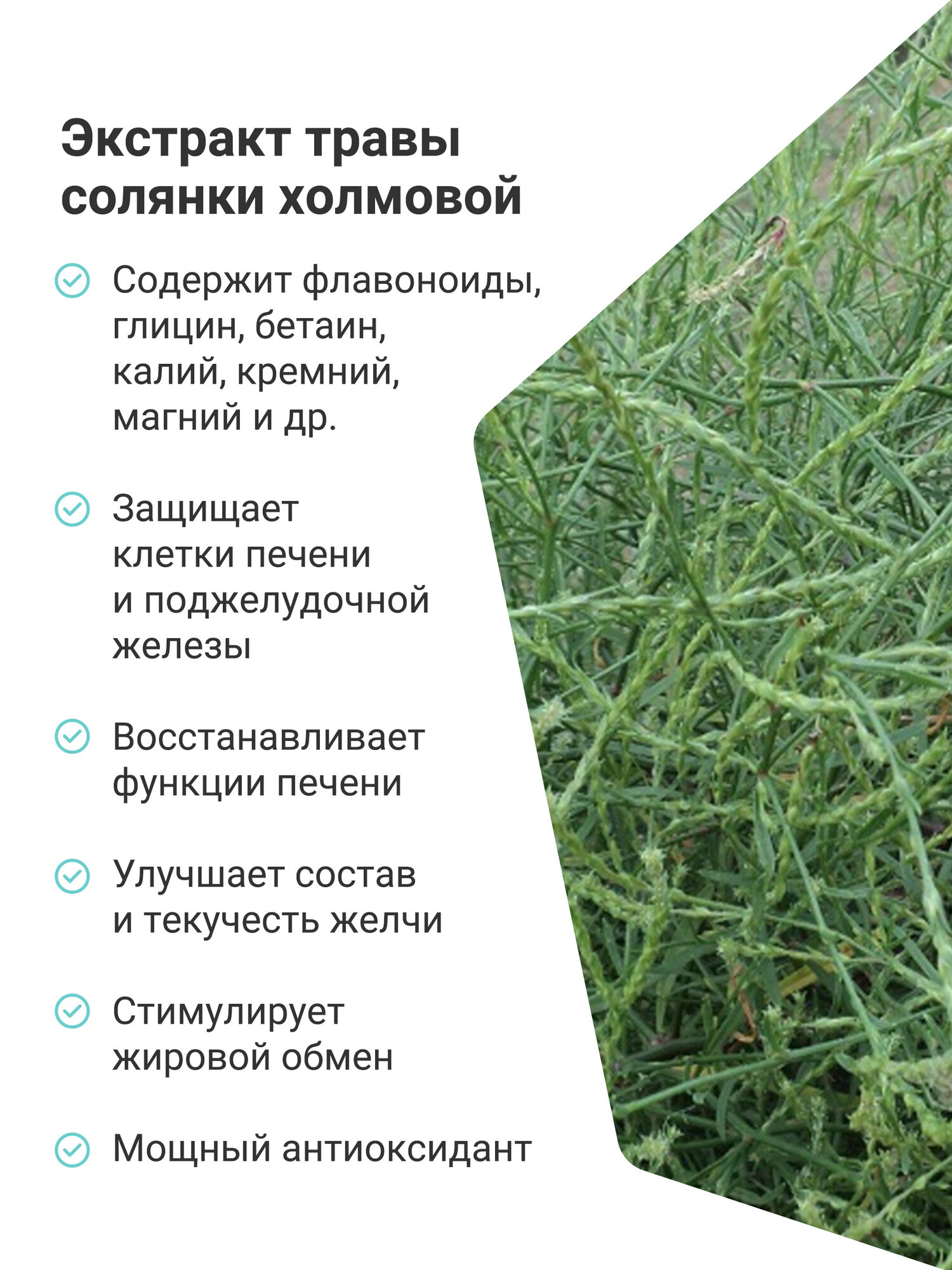 Биолит Сироп Лохеин, 100 мл, поддержка печени — фото 1