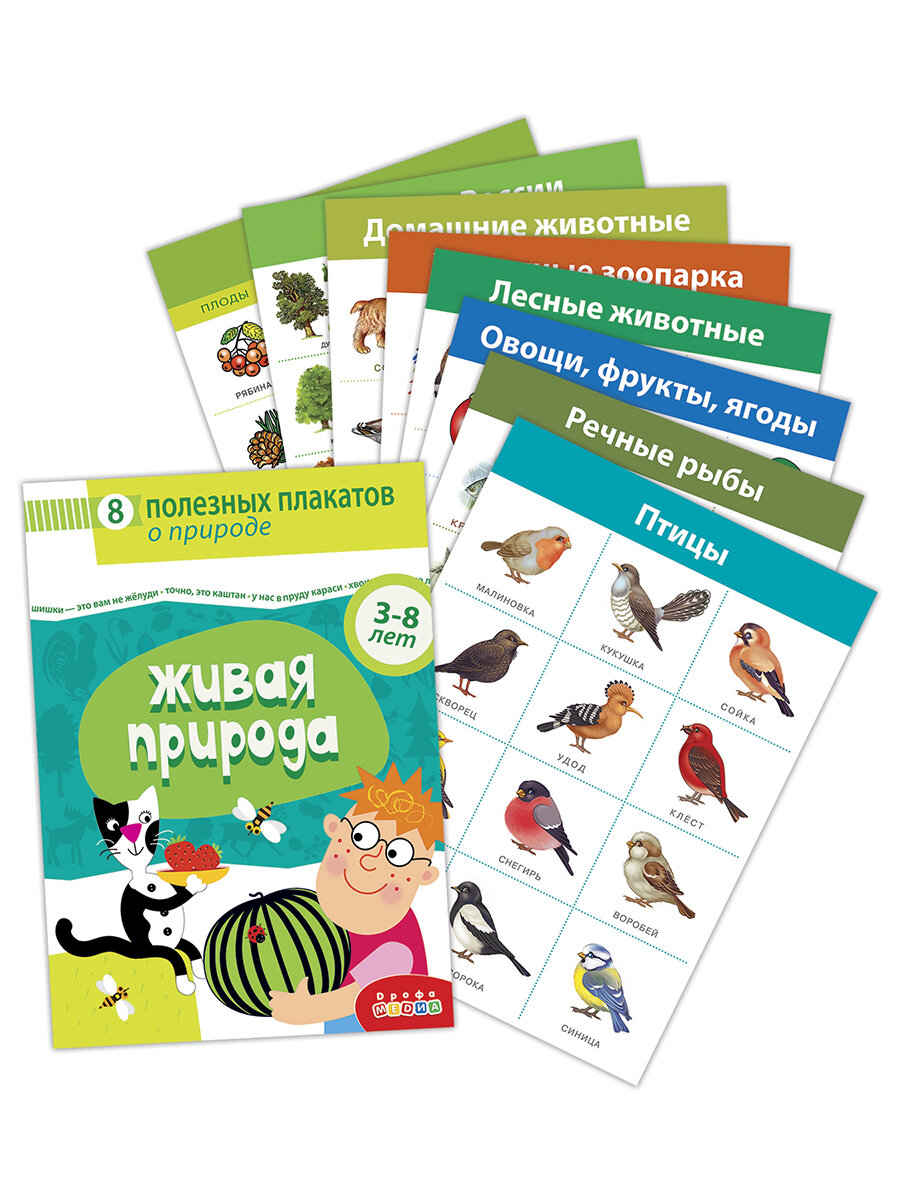 Плакаты Дрофа-Медиа "Живая природа", 8шт, для детей от 3 лет — фото 1