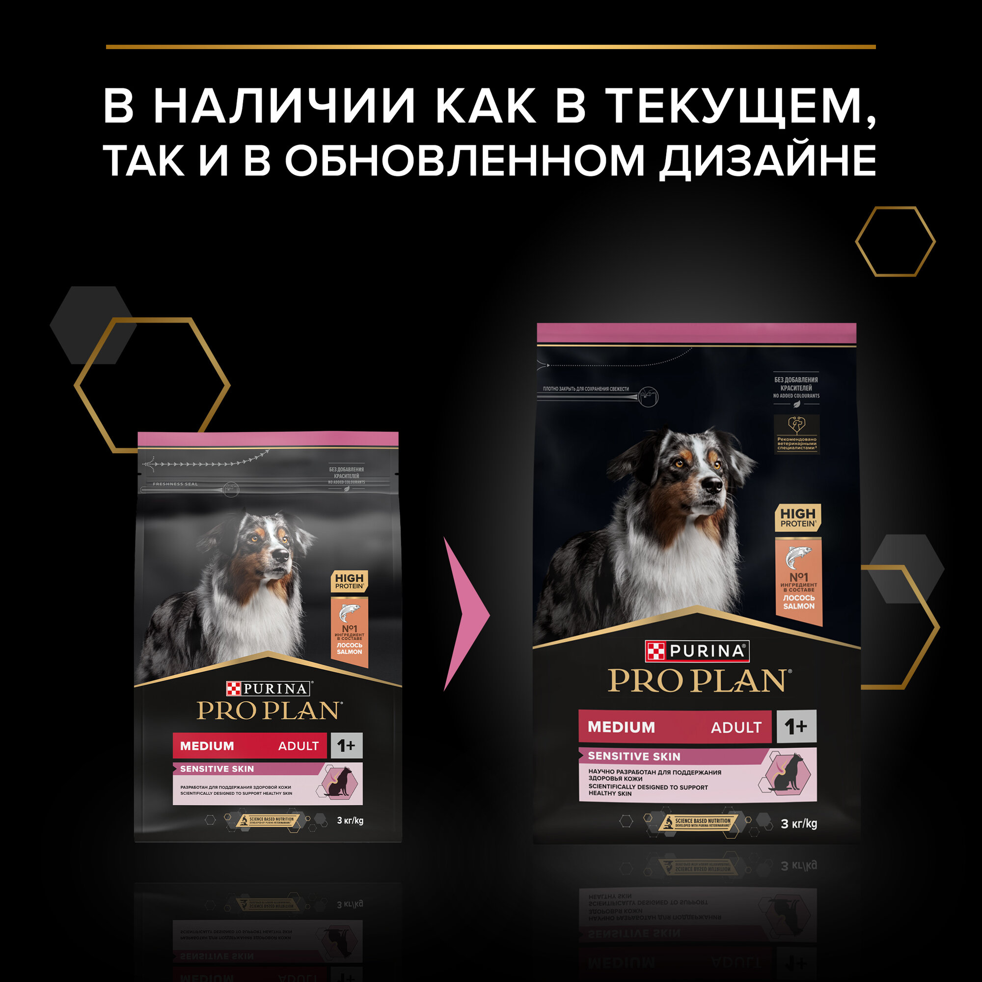 Сухой корм PRO PLAN® SENSITIVE SKIN для взрослых собак средних пород с чувствительной кожей с лососем, 3 кг — фото 1
