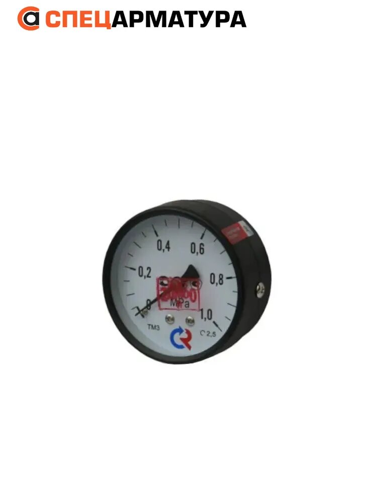 Манометр показывающий технический ТМ-310Т.00(0-1,0MPa)M12x1,5.2,5