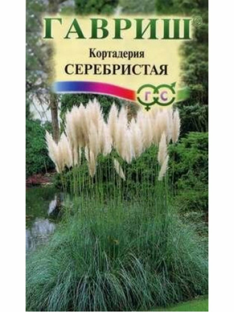Кортадерия (Пампасная трава) Серебристая ц/п 001 г Семена Гавриш