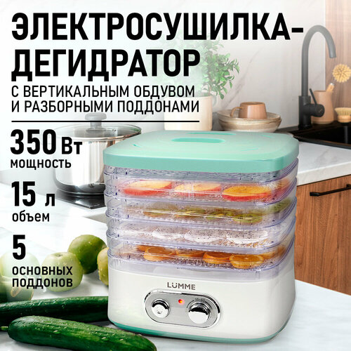 Дегидратор сушилка для овощей электросушилка LUMME LU-1853 5 поддонов черный/красный