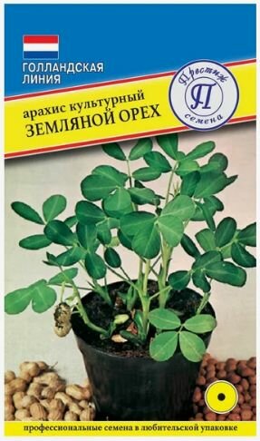 Арахис культурный Престиж / 5 семян