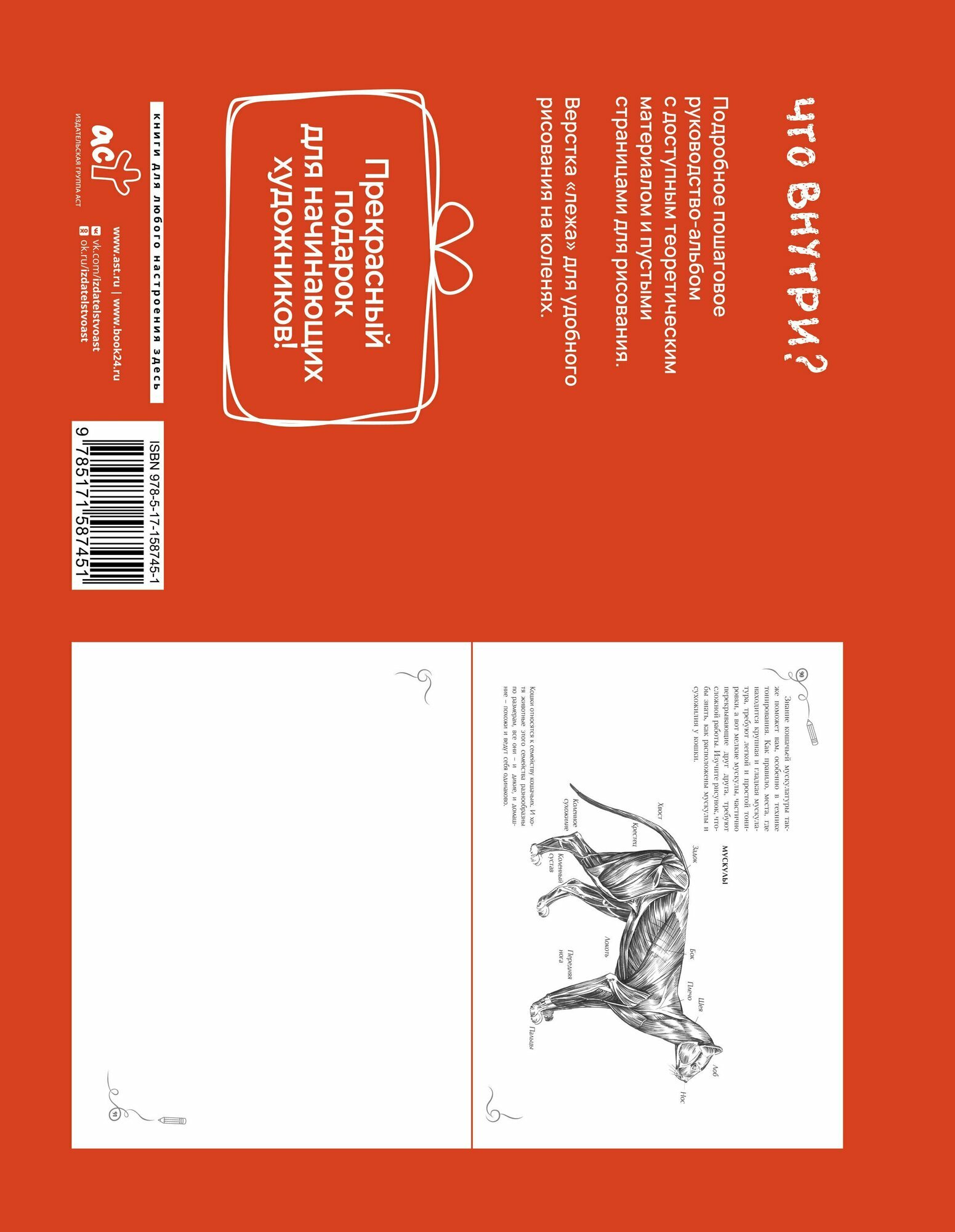 Анатомия для художников. Экспресс-курс + скетчбук — фото 1