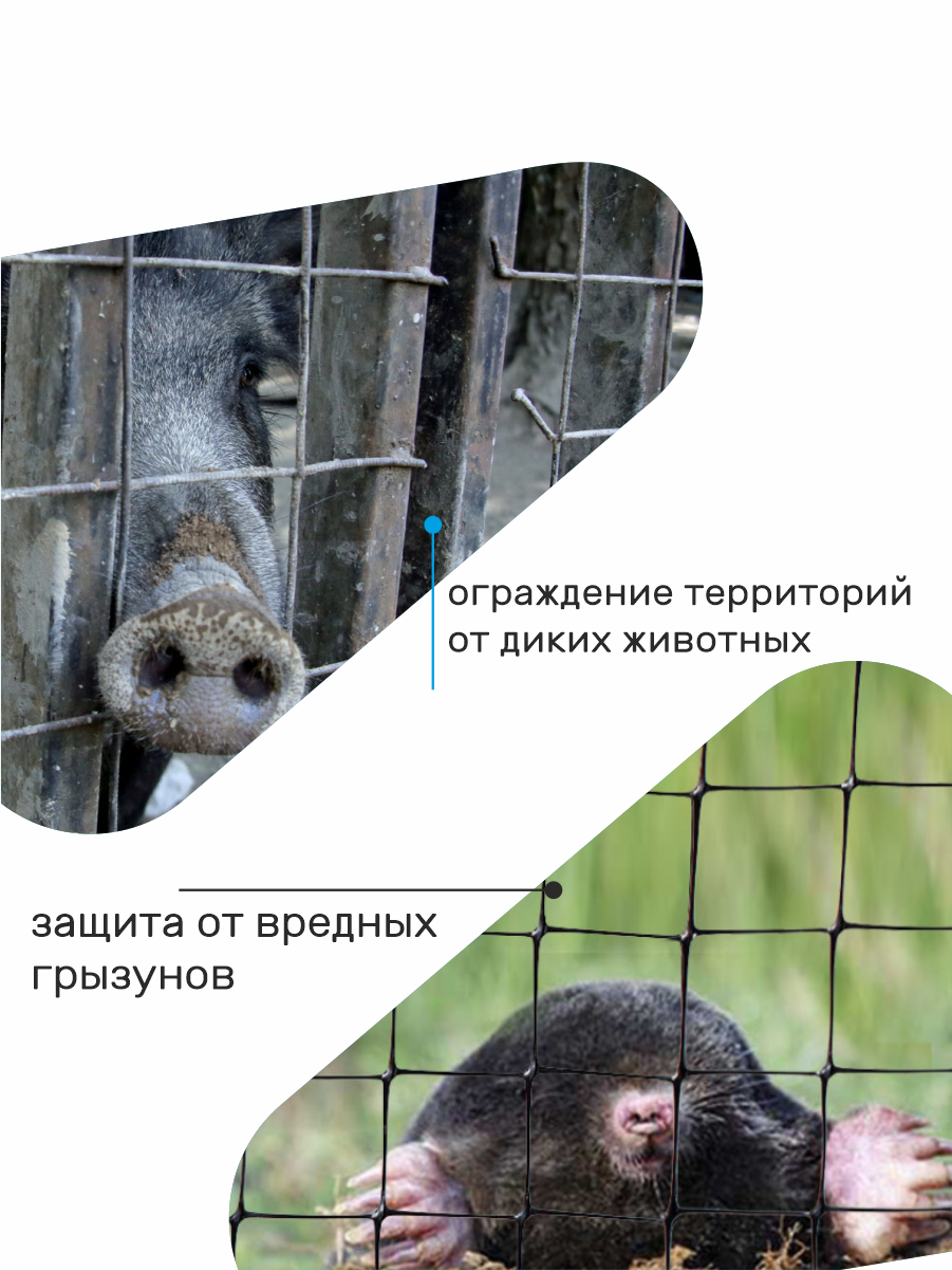 Сетка оцинкованная сварная заборная строительная ячейка 25 х 25 мм d=0,7 мм (рулон 1 х 10 м) — фото 1